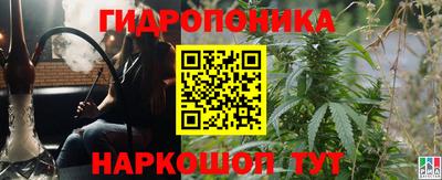 ПСИЛОЦИБИНОВЫЕ ГРИБЫ Аргун