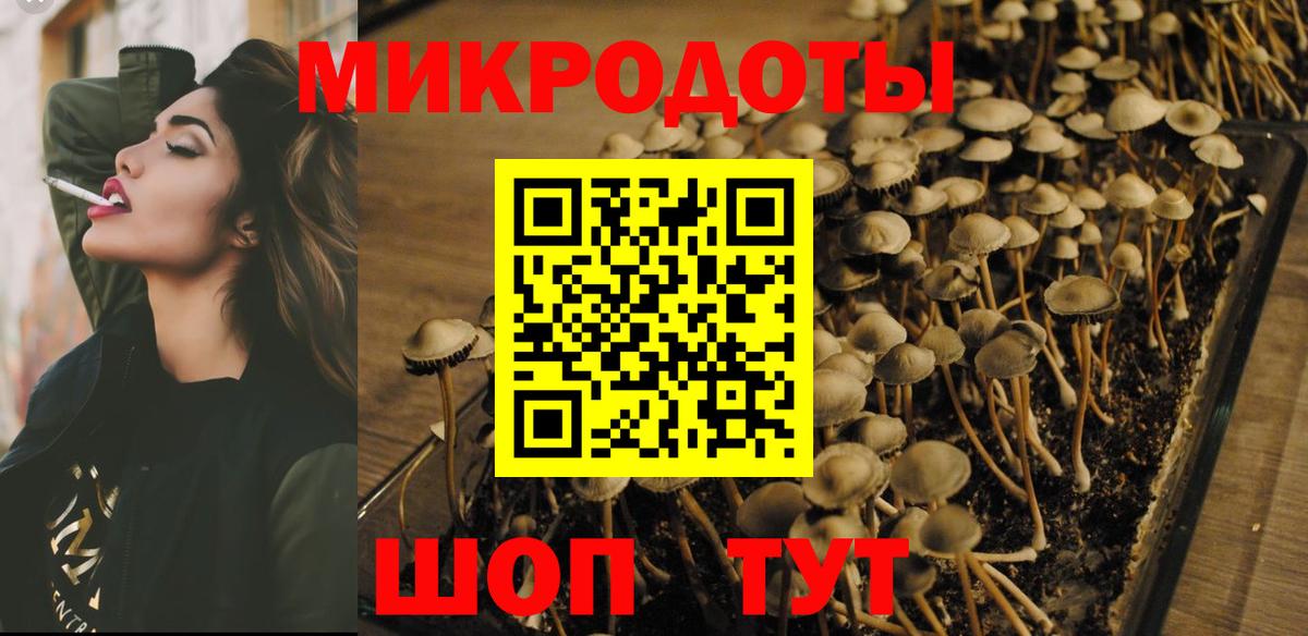 Галлюциногенные грибы GOLDEN TEACHER Артёмовский